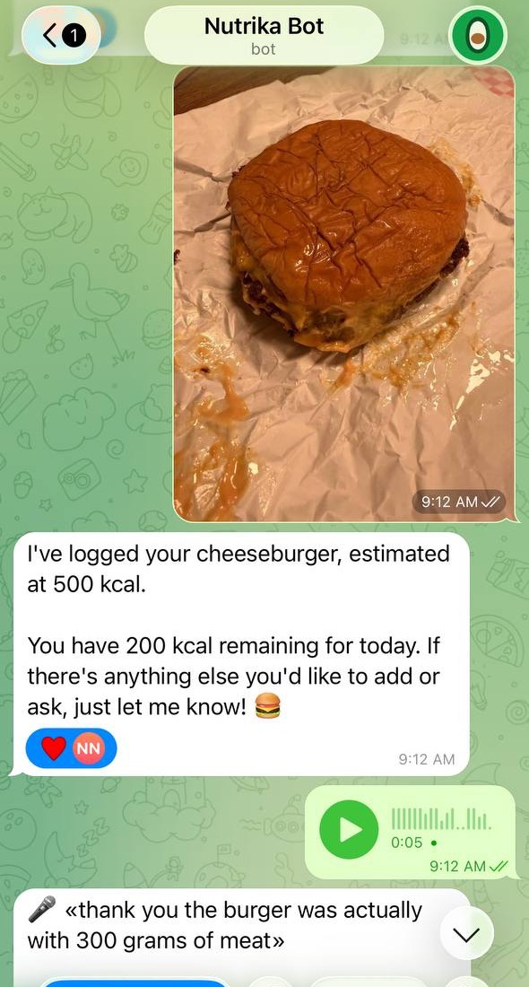 Snap a meal photo in the chat — Nutrika logs it, fix it by voice